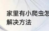 家里有小爬虫怎么办 家里有小爬虫的解决方法