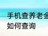 手机查养老金怎么查询 手机查养老金如何查询