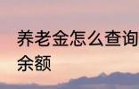 养老金怎么查询余额 养老金如何查询余额