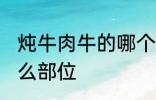 炖牛肉牛的哪个部位 炖牛肉牛选择什么部位