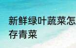 新鲜绿叶蔬菜怎么保存得更久 如何保存青菜