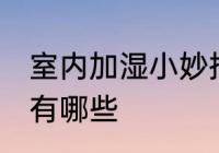 室内加湿小妙招有哪些 室内加湿方法有哪些